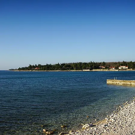 And Degra * Umag