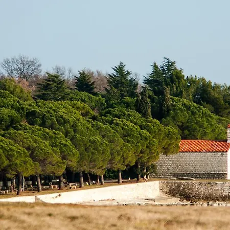 And Degra * Umag