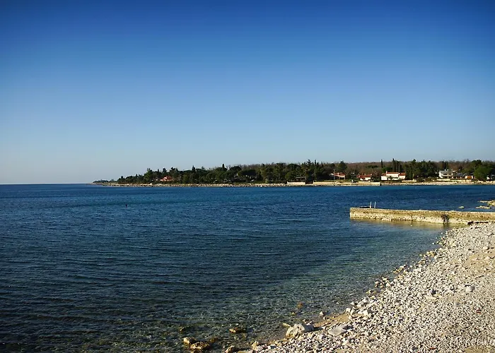 And Degra * Umag