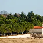 And Degra * Umag