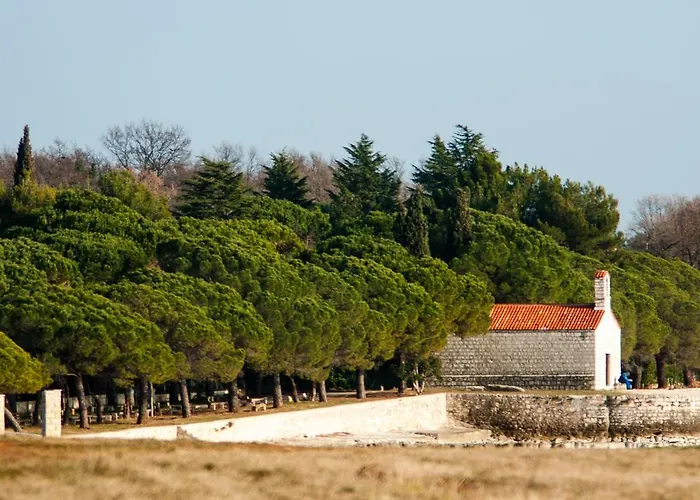 And Degra * Umag